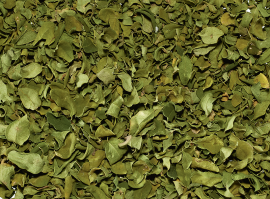 MORINGA- Herbal Leaves