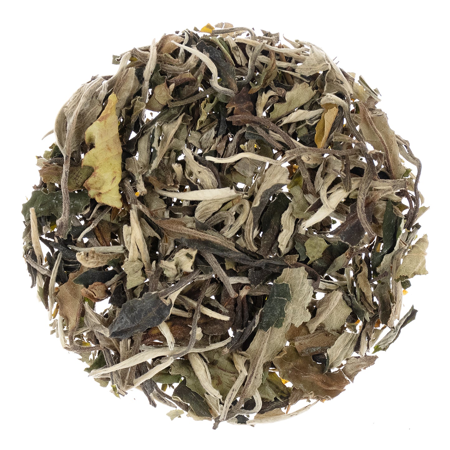 PAI MU TAN - White Tea