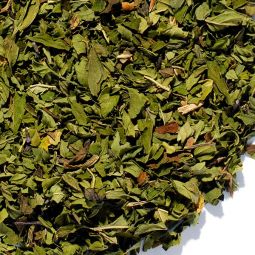LOOSE LEAF TEA TOP PICKS COLLECTION