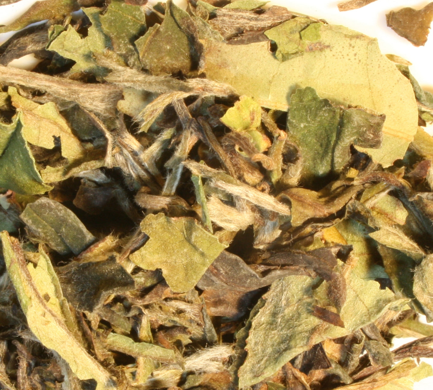 PAI MU TAN - White Tea