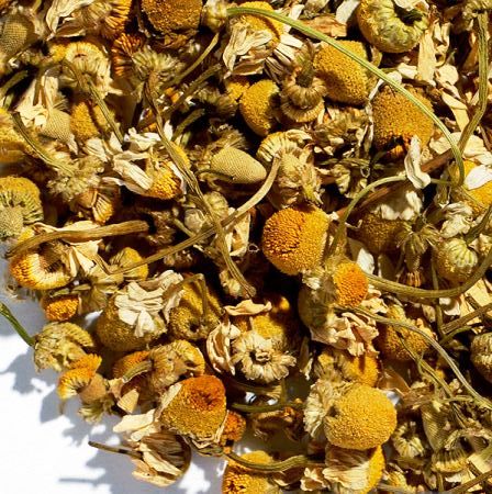 CHAMOMILE - Herbal Flowers