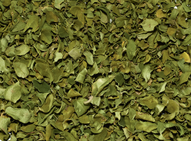 MORINGA - Herbal Leaves