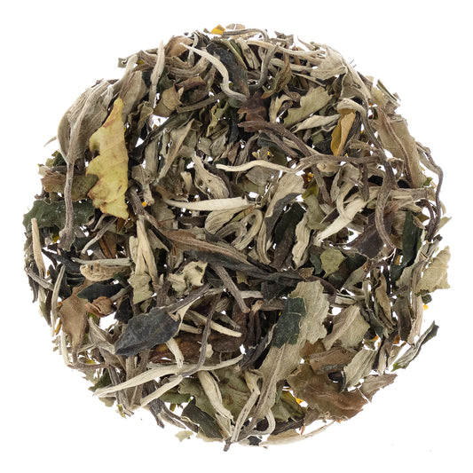 PAI MU TAN - White Tea