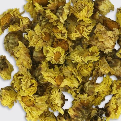 CHRYSANTHEMUM  - Herbal Flowers