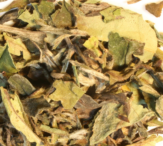PAI MU TAN - White Tea